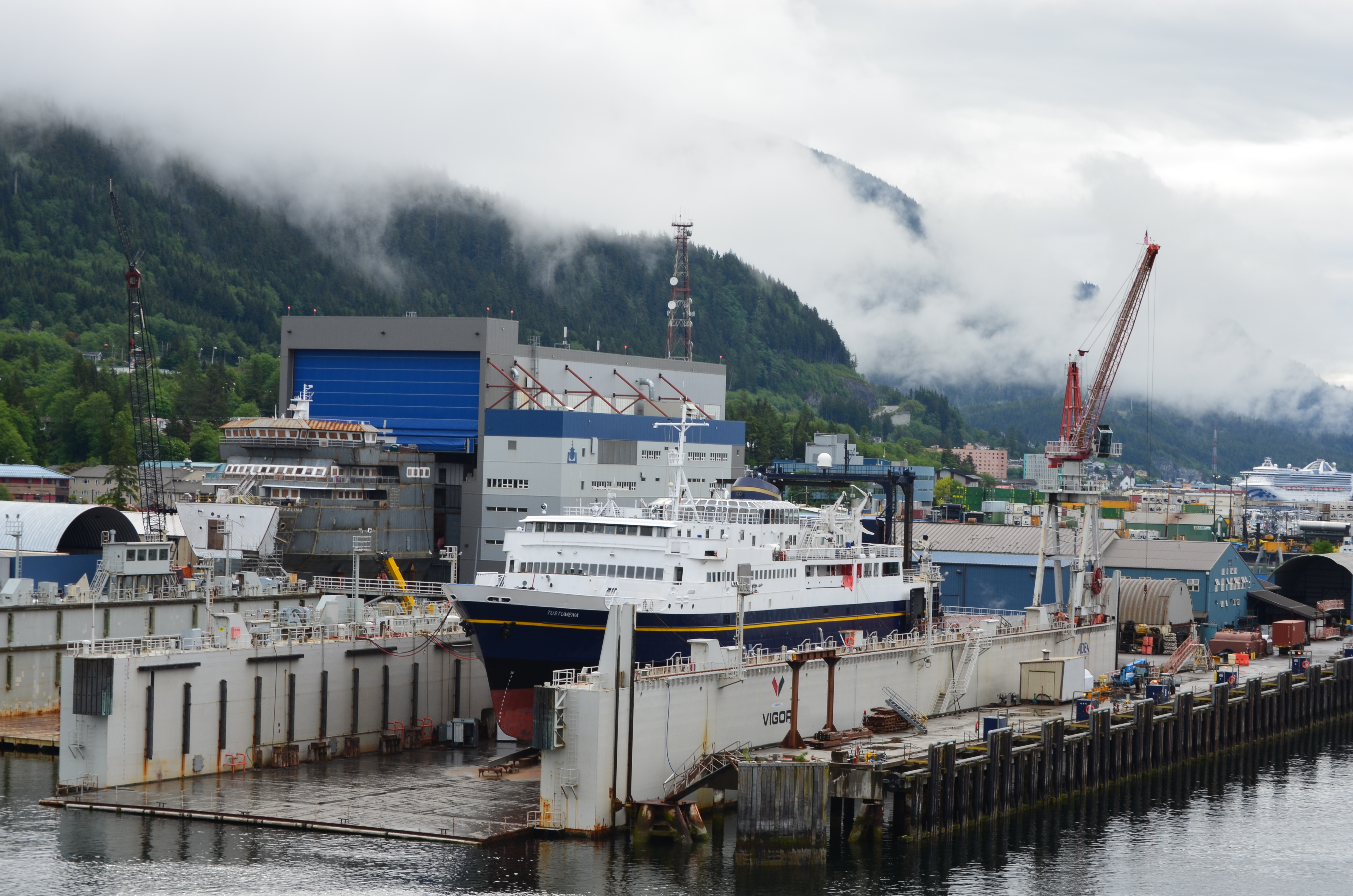 ./2017/08 - Alaska Cruise/11 - Ketchikan/DSC_0418.JPG